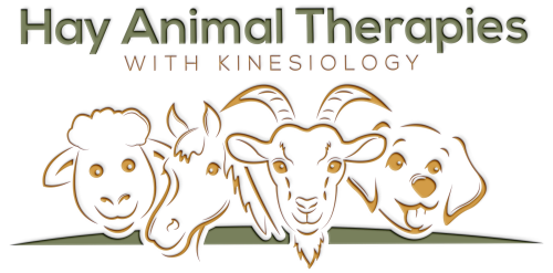 Hay Animal Therapies